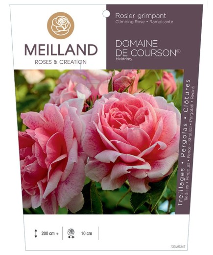 Rosier grimpant DOMAINE DE COURSON ® Meidrimy
