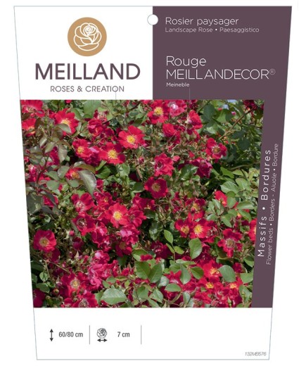 Rosier paysager Rouge MEILLANDECOR ® Meineble