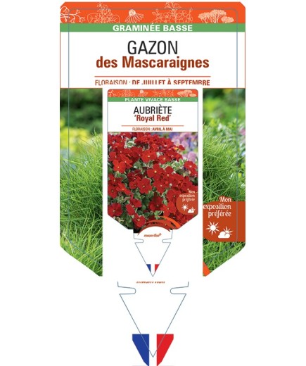 ZOYSIA tenuifolia voir GAZON des Mascaraignes