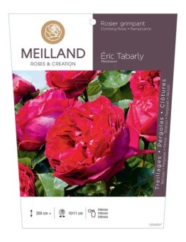 Rosier grimpant ERIC TABARLY ® Meidrason