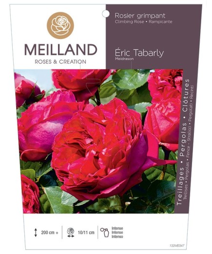 Rosier grimpant ERIC TABARLY ® Meidrason