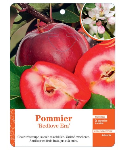 POMMIER ‘REDLOVE ERA’