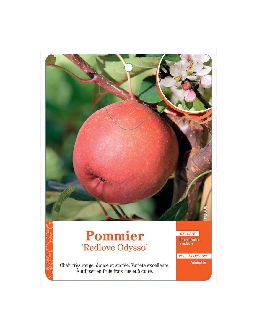 POMMIER ‘REDLOVE ODYSSO’