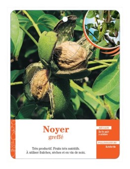 NOYER GREFFÉ