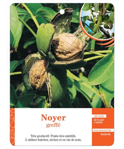 NOYER GREFFÉ
