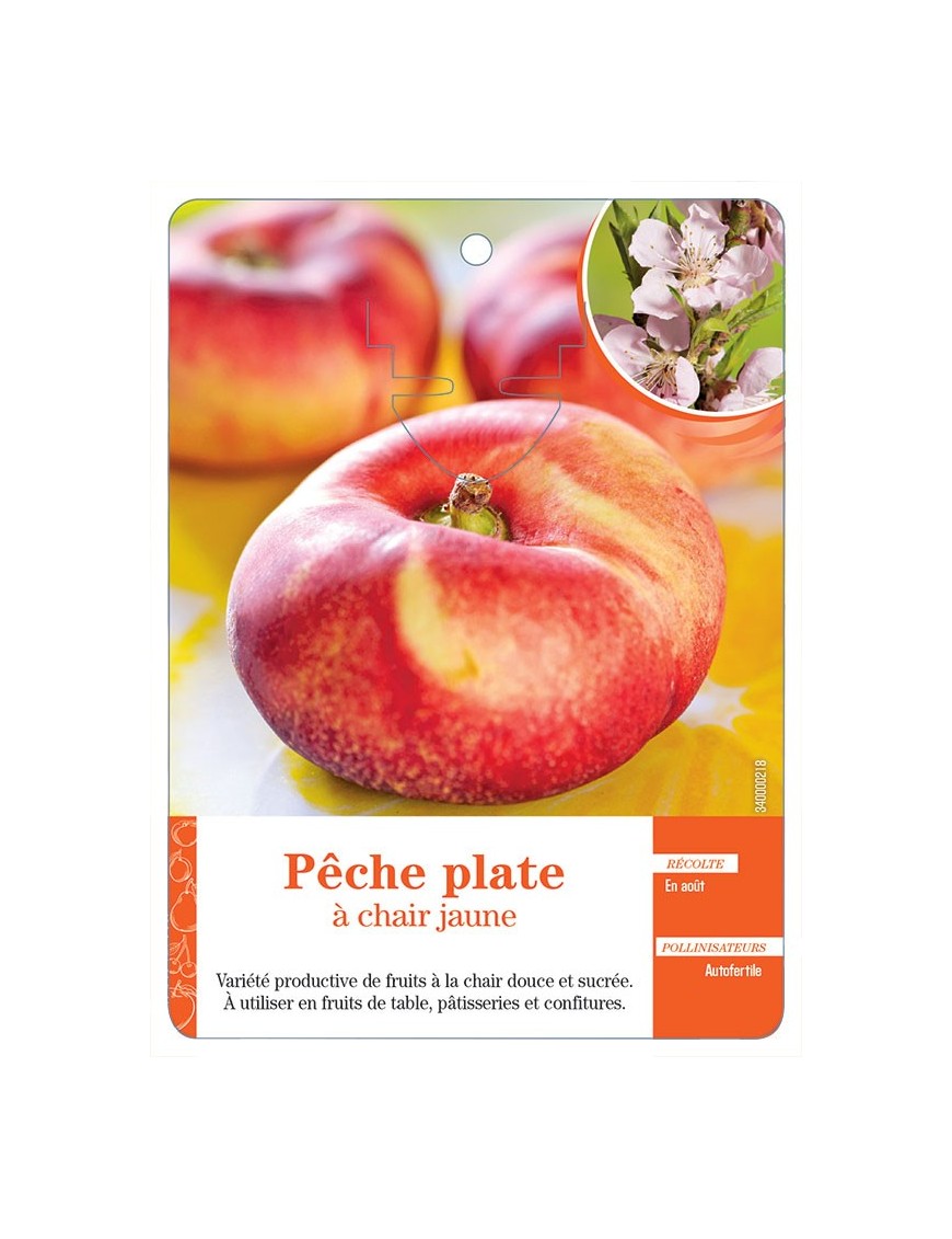 PÊCHE PLATE À CHAIR JAUNE