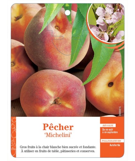 PÊCHER ‘MICHELINI’