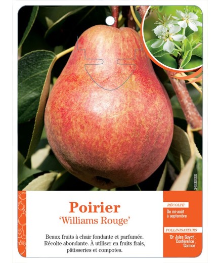 POIRIER‘WILLIAMS ROUGE’