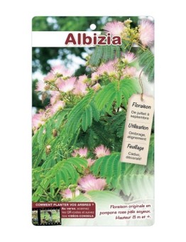 ALBIZIA *
