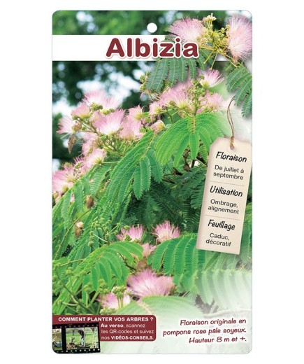 ALBIZIA *