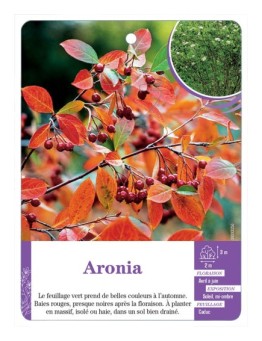 ARONIA