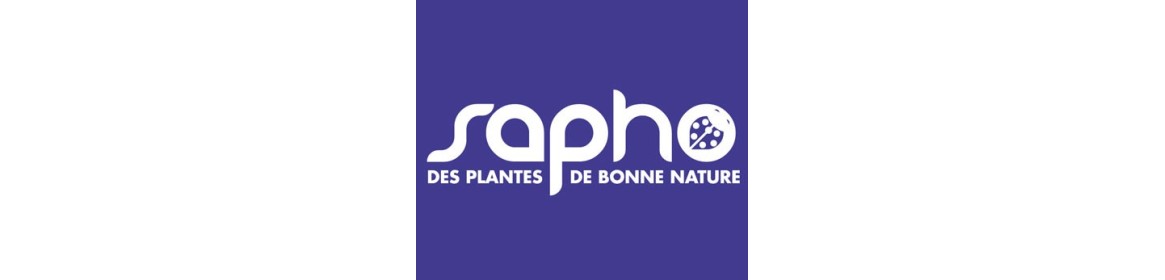Arbustes d'ornement - grimpantes - SAPHO